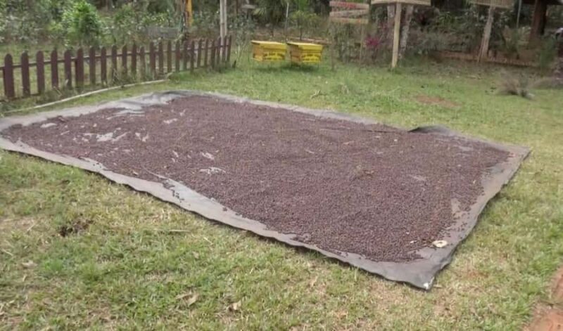 Pakse: Bolaven Plateau Waterfalls and Villages Tour - Frequently Asked Questions