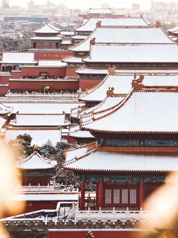 Palace Museum Entry Ticket for International Visitors - The Booking Experience and Additional Details