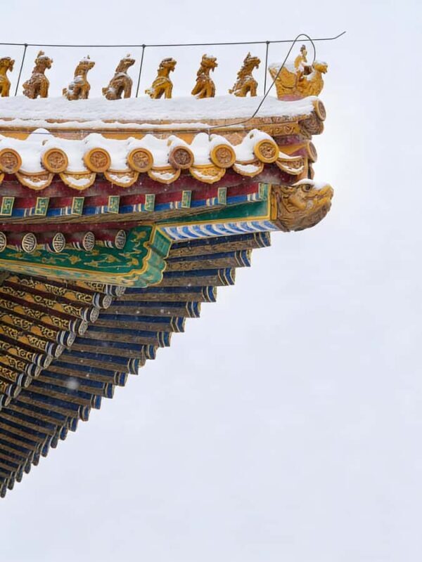 Palace Museum Entry Ticket for International Visitors - Why This Experience Offers Good Value