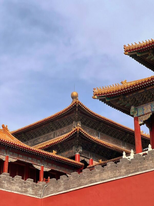 Palace Museum ticket + electronic audio guide (multi-language options available) - The central halls and what to look for