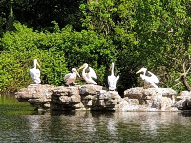 Palaces, Parliament & Power: London's Royal City - Hidden Palaces and Secret Bunkers