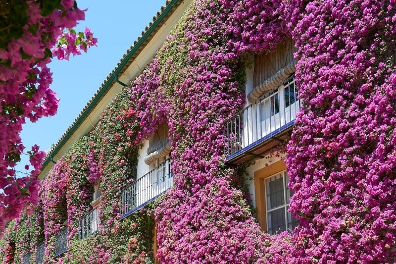 Palacio de Duenas Admission with Audio Guide - Is the ticket good value?