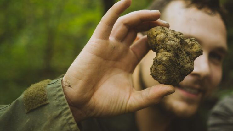 Paladini: Truffle Hunting Tour With 3-Course Tasting Menu - Booking Information