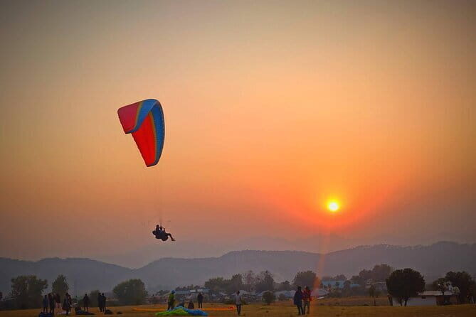 Palampur and Bir Tour, Tea Gardens, Adventures and Paragliding - Good To Know