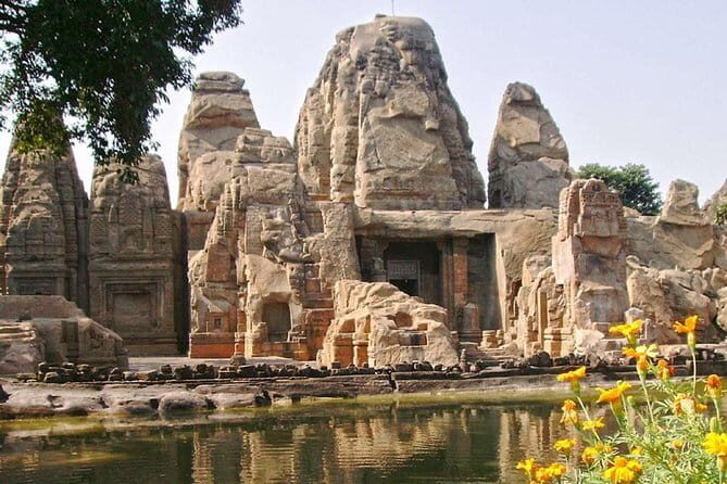 Palampur Tea Garden Tour - Who Will Love This Tour?