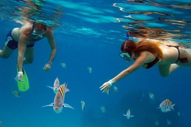 Palancar, Columbia and El Cielo Cozumel Snorkeling Tour - Who Should Consider This Tour?
