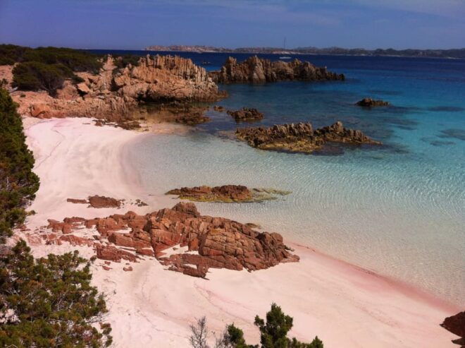 Palau: La Maddalena Sailing Tour With Lunch and Open Bar - Onboard Lunch Experience