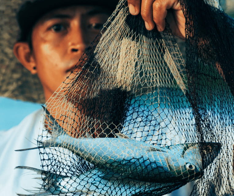 PALAWAN: El Nido Fishing Tour with Local Fishermen PRIVATE - Why This Tour Is Special