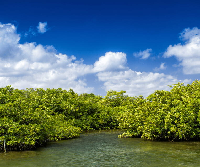 PALAWAN: El Nido Fishing Tour with Local Fishermen PRIVATE - Frequently Asked Questions