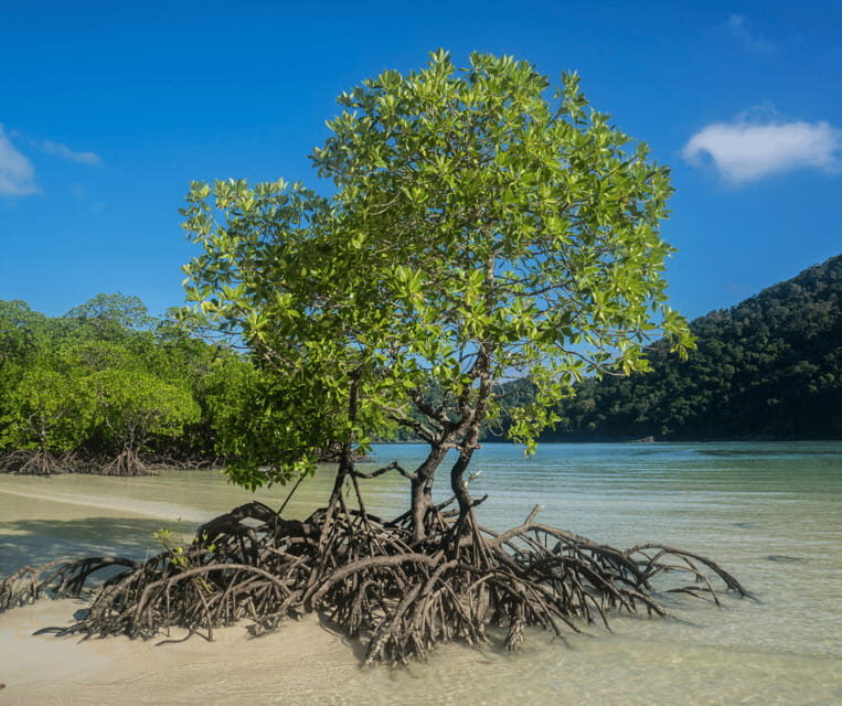 PALAWAN: El Nido Fishing Tour with Local Fishermen PRIVATE - Good To Know