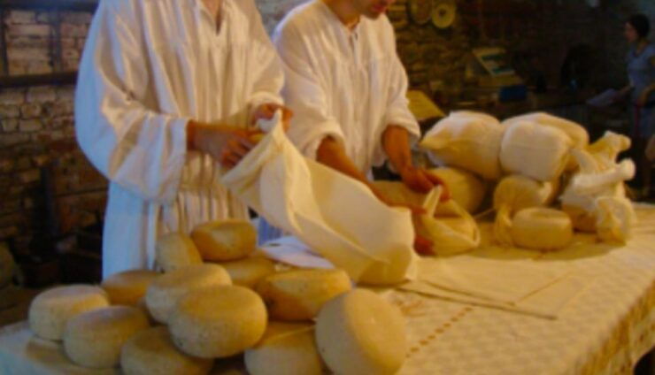 Palazzolo Acreide: Ricotta Cheese and Farm Tour With Tasting - Farm Tour Highlights