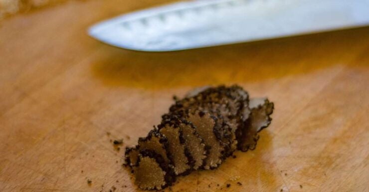 Palazzolo Acreide: Truffle Hunt With 3-Course Meal and Wine - Activity Details