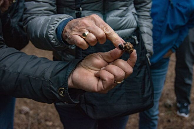 Palazzolo Acreide: Truffle Hunt With 3-Course Meal and Wine - Activity Description
