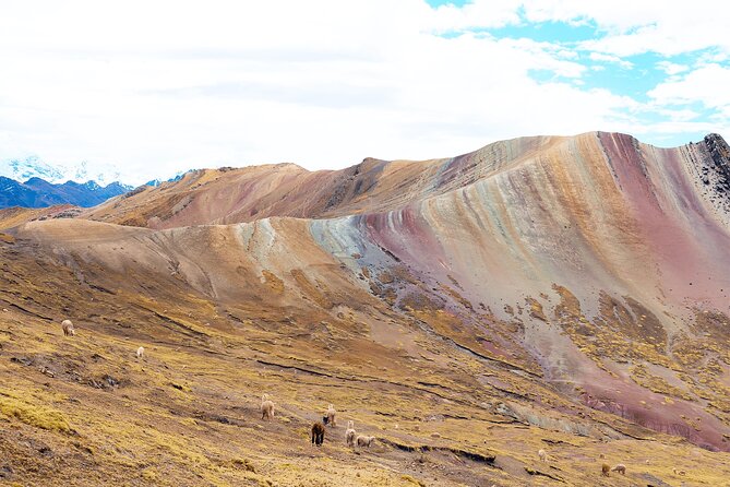 Palccoyo Rainbow Mountain Tour - Full Day Tour (Group Service) - The Sum Up