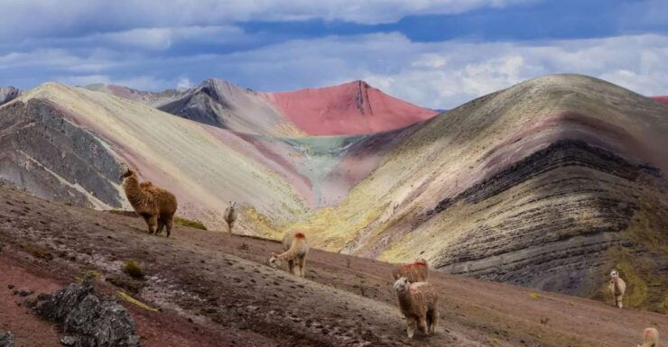 Palccoyo Rainbow Mountain Trek Full Day - Inclusions