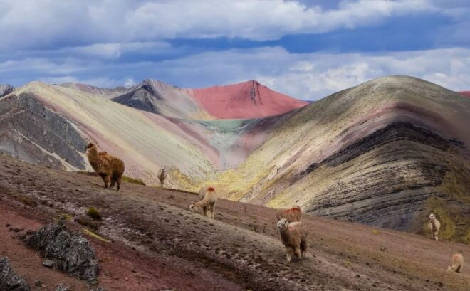 Palccoyo Rainbow Mountain Trek Full Day - Experience