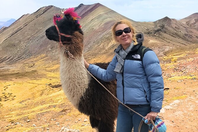 Palcoyo Colored Mountain Excursion, Walk With Llamas - Excursion Overview