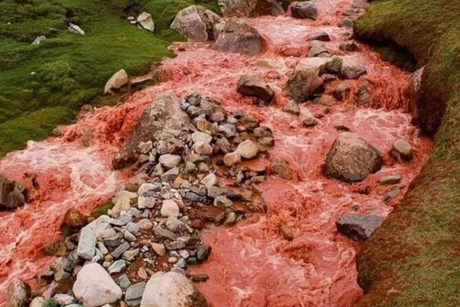 Palcoyo Colored Mountain Excursion, Walk With Llamas - Customer Reviews