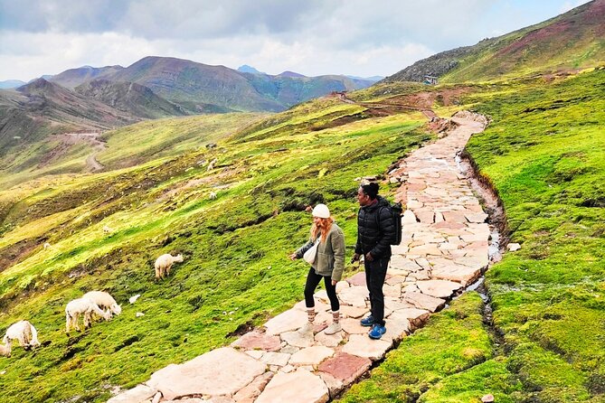 Palcoyo Colored Mountain Excursion, Walk With Llamas - Pricing and Booking Information