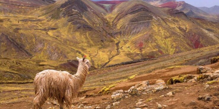 Palcoyo - Explore Rainbow Mountains' Secret Sister - Good To Know