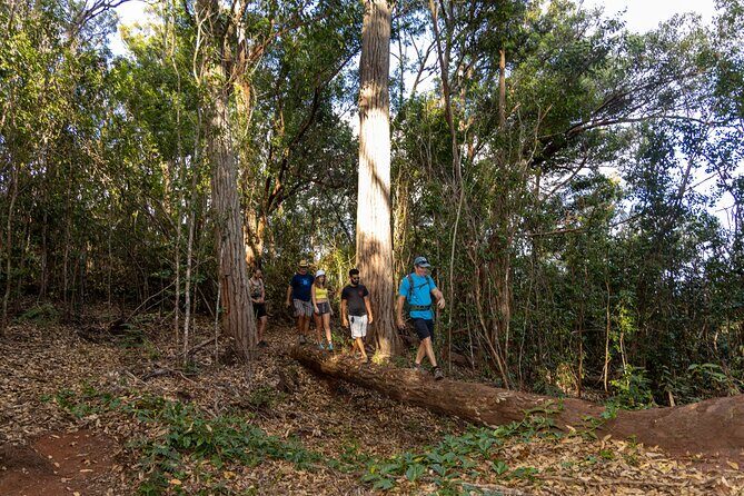 Palehua Hike and West O'ahu Snorkel - Exploring the Palehua Hike and West Oahu Snorkel Tour: An Authentic Hawaiian Adventure