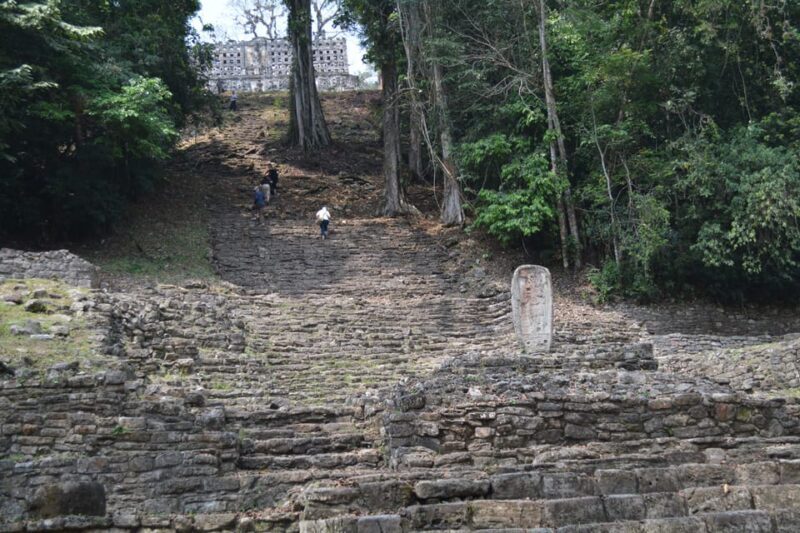 Palenque: 2-Day Lacandon Jungle, Yaxchilan, & Bonampak Trip - Introduction