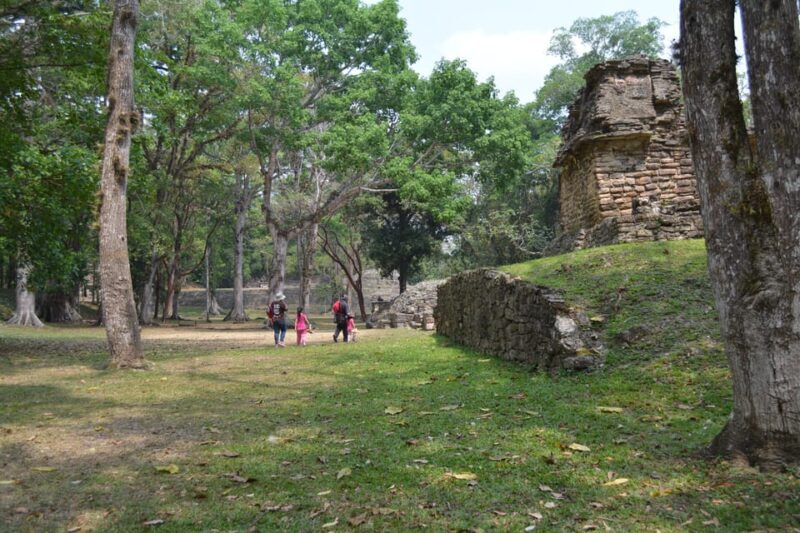 Palenque: 2-Day Lacandon Jungle, Yaxchilan, & Bonampak Trip - Jungle Trek and Waterfalls: The Second Day