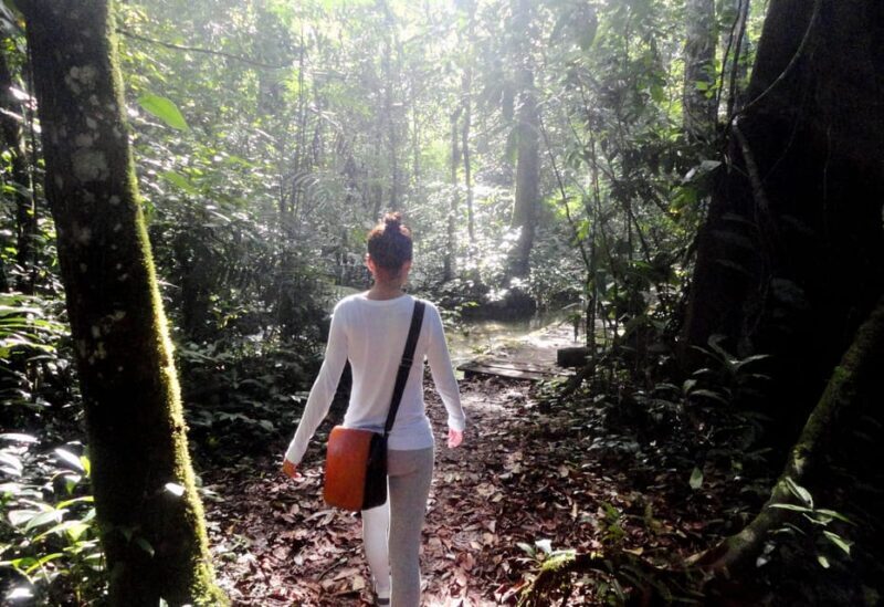 Palenque: 2-Day Lacandon Jungle, Yaxchilan, & Bonampak Trip - FAQ