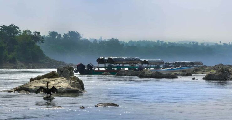 Palenque: 2-Days Nature Tour in Northern Lacandon Jungle - Itinerary
