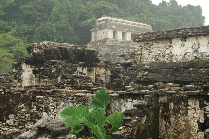 Palenque Archaelogical Site, Agua Azul and Misolha Waterfalls Combo Tour - Cancellation Policy and Refunds