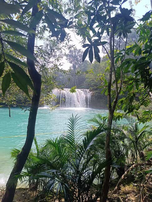 Palenque Archeological zone and Roberto Barrios Waterfalls - The Magic of Roberto Barrios Waterfalls
