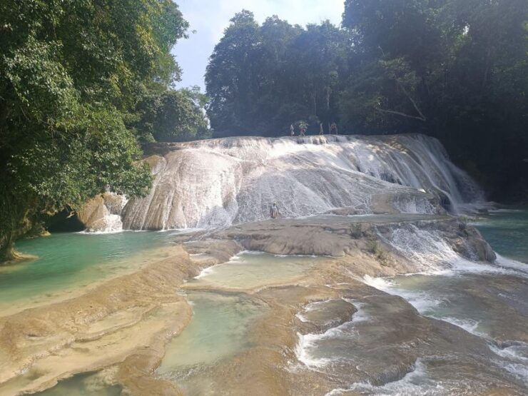 Palenque Archeological Zone and Roberto Barrios Waterfalls - Booking Details