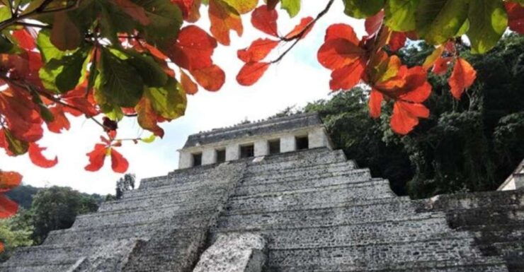 Palenque Archeological Zone and Roberto Barrios Waterfalls - Experience Highlights