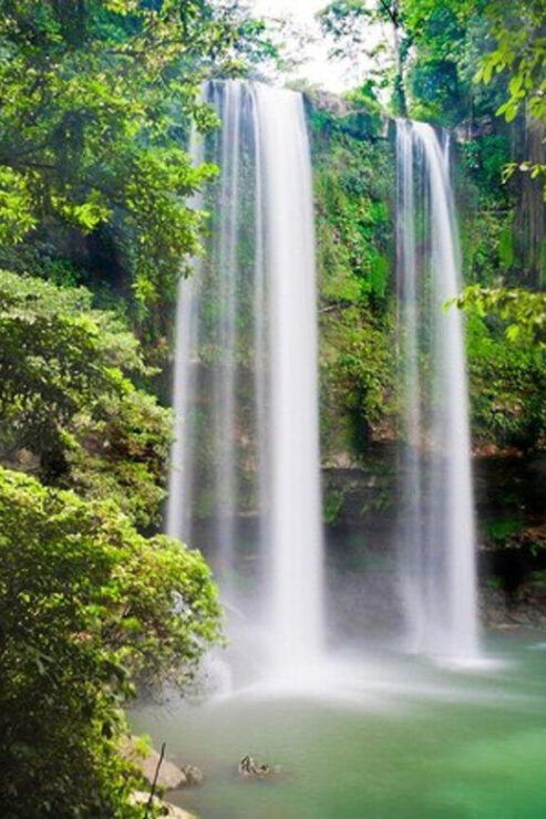 Palenque: Blue Water and Misol – Ha Tour - Good To Know