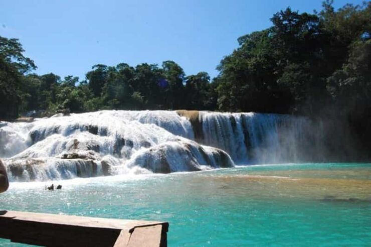 Palenque: Blue Water and Misol – Ha Tour - Experience Highlights