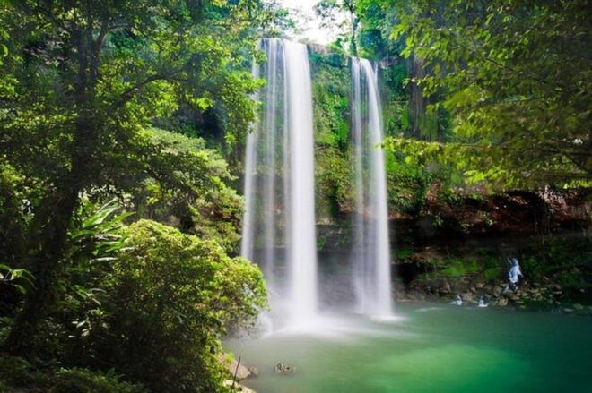 Palenque: Blue Water and Misol – Ha Tour - Pickup and Cancellation