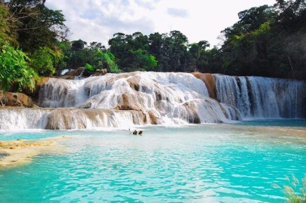 Palenque: Blue Water and Misol – Ha Tour - Pricing and Duration