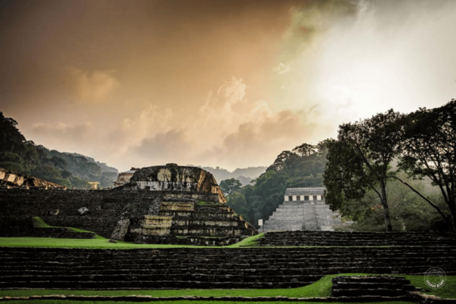 Palenque: Calakmul Tour: Mayan Ruins & Wildlife Exploration - Itinerary