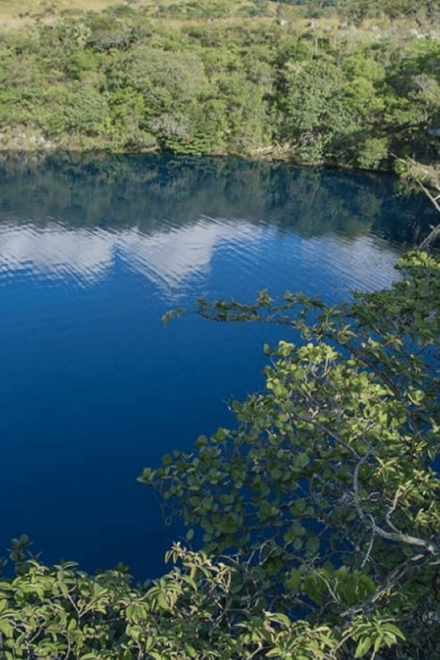 Palenque: Catazajá Lagoon Wildlife Adventure - Wildlife Viewing Opportunities