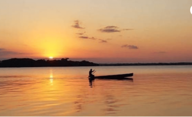 Palenque: Catazajá Lagoon Wildlife Adventure - Visitor Information