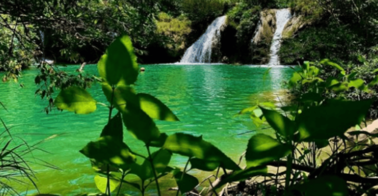 Palenque: Roberto Barrios Waterfall Tour - Good To Know