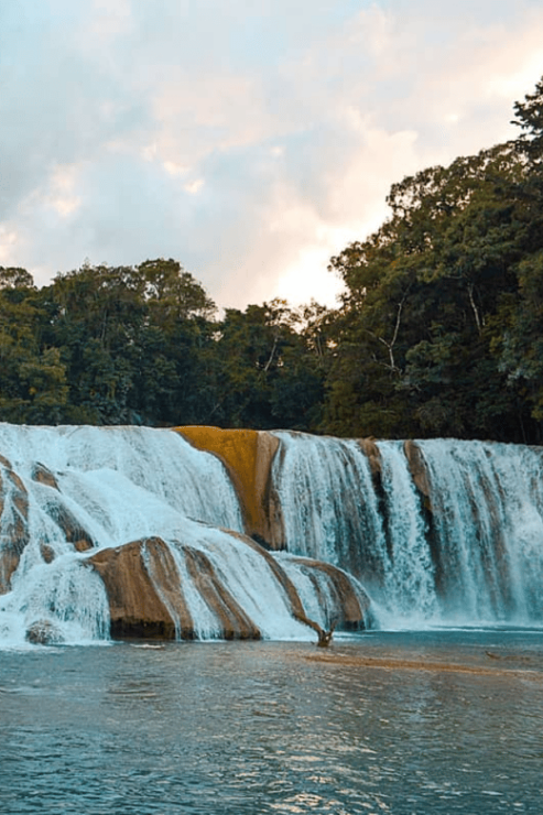 Palenque: Roberto Barrios Waterfall Tour - Destination Details