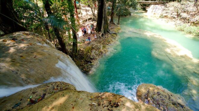 Palenque: Roberto Barrios Waterfall Tour - Planned Activities