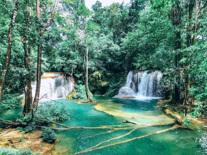 Palenque: Roberto Barrios Waterfall Tour - Arrival and Departure