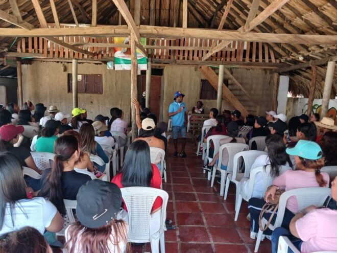 Palenque; Traditional Medicine and House Museum. - Palenque Community Overview