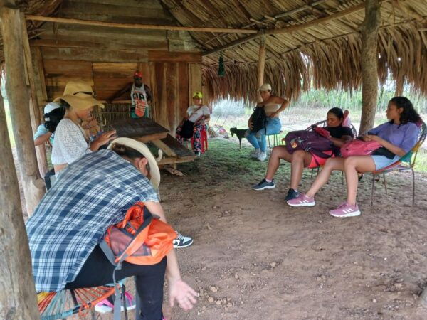Palenque; Traditional Medicine and House Museum. - The Sum Up