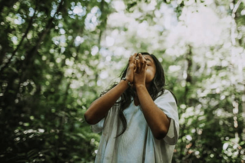 Palenque: Yaxchilan, Bonampak and Lacanja Jungle Adventure - Good To Know