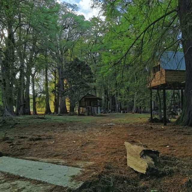 Palenque: Yaxchilan, Bonampak and Lacanja Jungle Adventure - Starting Off: Smooth Logistics and Early Departure