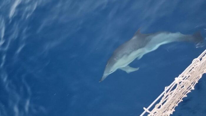 Palermo: Boat Tour Among Caves and Breathtaking Landscapes - What to Bring for the Tour