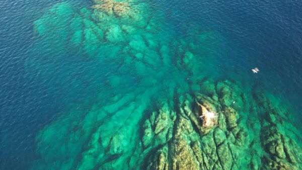 Palermo: Boat Tour Among Caves and Breathtaking Landscapes - Nearby Attractions